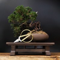 Столик-подставка для бонсай 30 см